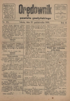 Orędownik Powiatu Gostyńskiego 1920.10.23 R.2 Nr 121