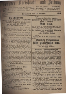 Gostyner Kreisblatt und Zeitung 1918.10.12 Nr 231