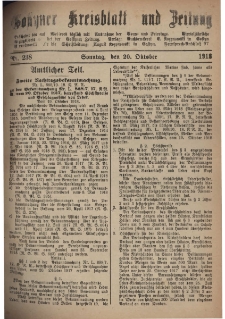 Gostyner Kreisblatt und Zeitung 1918.10.20 Nr 238