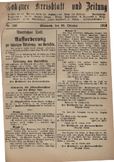 Gostyner Kreisblatt und Zeitung 1918.10.30 Nr 246