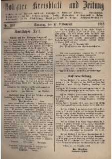 Gostyner Kreisblatt und Zeitung 1918.11.17 Nr 262