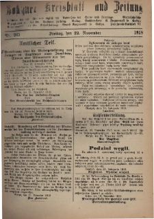 Gostyner Kreisblatt und Zeitung 1918.11.22 Nr 265